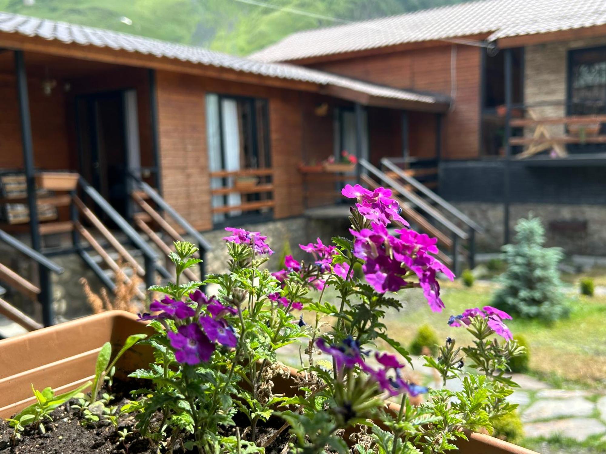 Panorama Cottages Степанцмінда Екстер'єр фото
